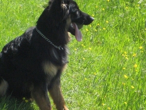 jethro 7-05-2008