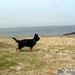 jethro 9-04-2008