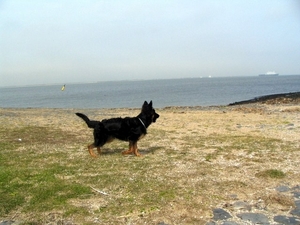 jethro 9-04-2008