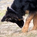 jethro 9-04-2008