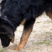 jethro 9-04-2008