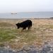 jethro 9-04-2008