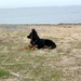 jethro 9-04-2008 (108) [640x480]