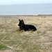 jethro 9-04-2008
