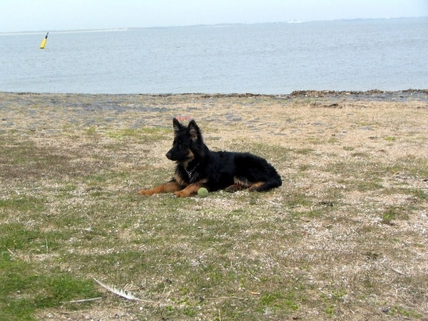 jethro 9-04-2008