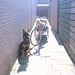 jethro 9-04-2008