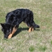 jethro 9-04-2008