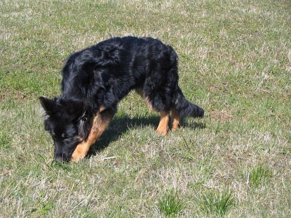 jethro 9-04-2008