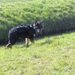 jethro 9-04-2008 (116) [640x480]