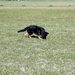 jethro 9-04-2008 (117) [640x480]