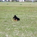 jethro 9-04-2008