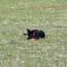 jethro 9-04-2008 (119) [640x480]