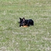 jethro 9-04-2008