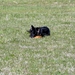 jethro 9-04-2008