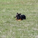 jethro 9-04-2008
