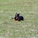jethro 9-04-2008