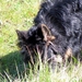 jethro 9-04-2008