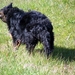 jethro 9-04-2008 (125) [640x480]