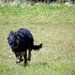 jethro 9-04-2008 (128) [640x480]