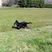 jethro 9-04-2008