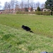 jethro 9-04-2008