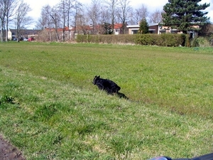 jethro 9-04-2008