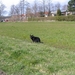 jethro 9-04-2008