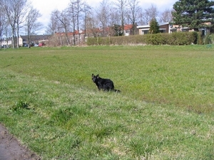jethro 9-04-2008