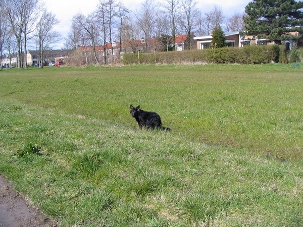 jethro 9-04-2008