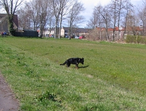 jethro 9-04-2008