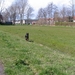 jethro 9-04-2008
