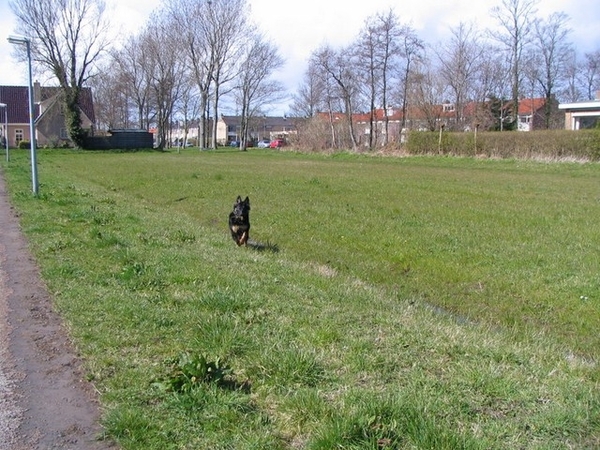 jethro 9-04-2008