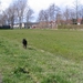 jethro 9-04-2008
