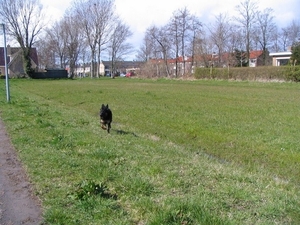 jethro 9-04-2008