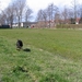 jethro 9-04-2008