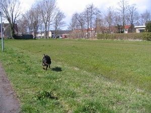 jethro 9-04-2008