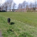 jethro 9-04-2008