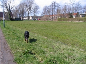 jethro 9-04-2008