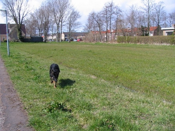jethro 9-04-2008