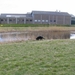 jethro 9-04-2008