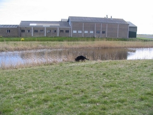 jethro 9-04-2008
