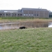 jethro 9-04-2008