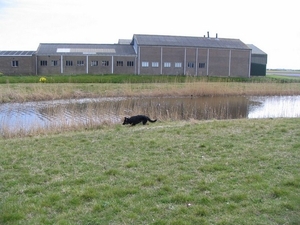 jethro 9-04-2008