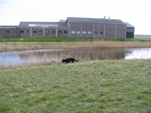 jethro 9-04-2008