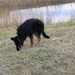 jethro 9-04-2008