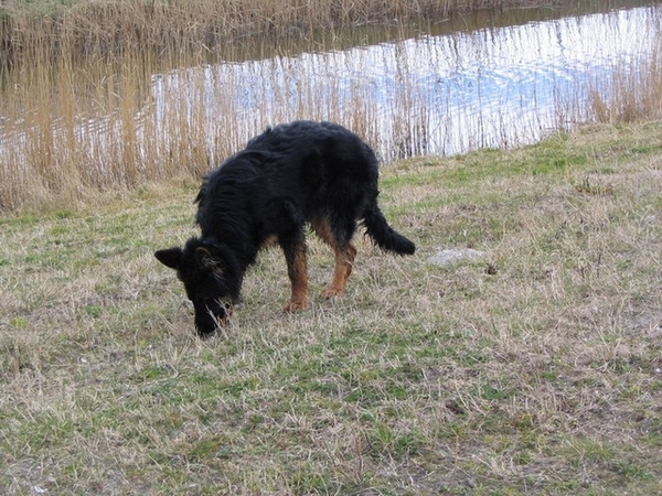 jethro 9-04-2008