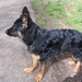 jethro 9-04-2008