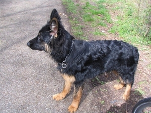 jethro 9-04-2008