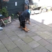 jethro 9-04-2008