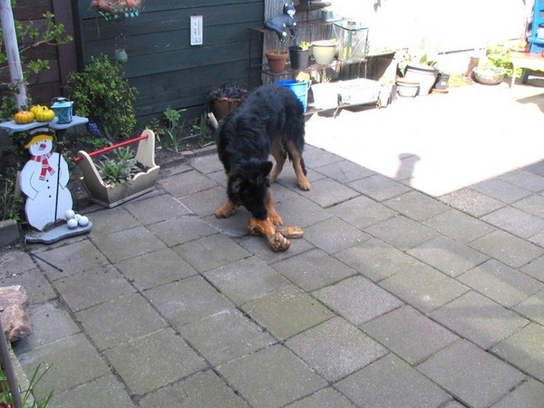 jethro 9-04-2008